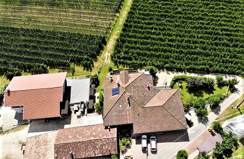 MASO IN  TRENTINO - Vendita Maso VERVÒ Valle di Non