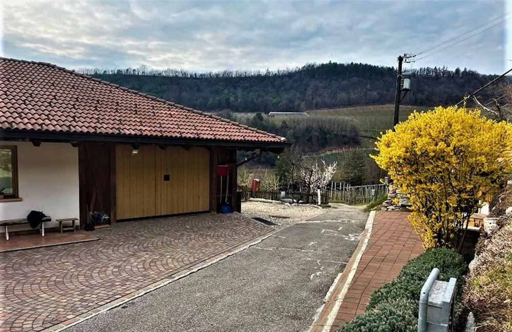 MASO IN  TRENTINO - Vendita Maso VERVÒ Valle di Non