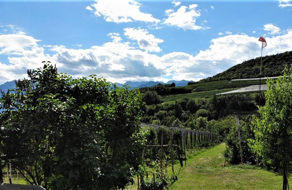 MASO IN  TRENTINO - Vendita Maso VERVÒ Valle di Non