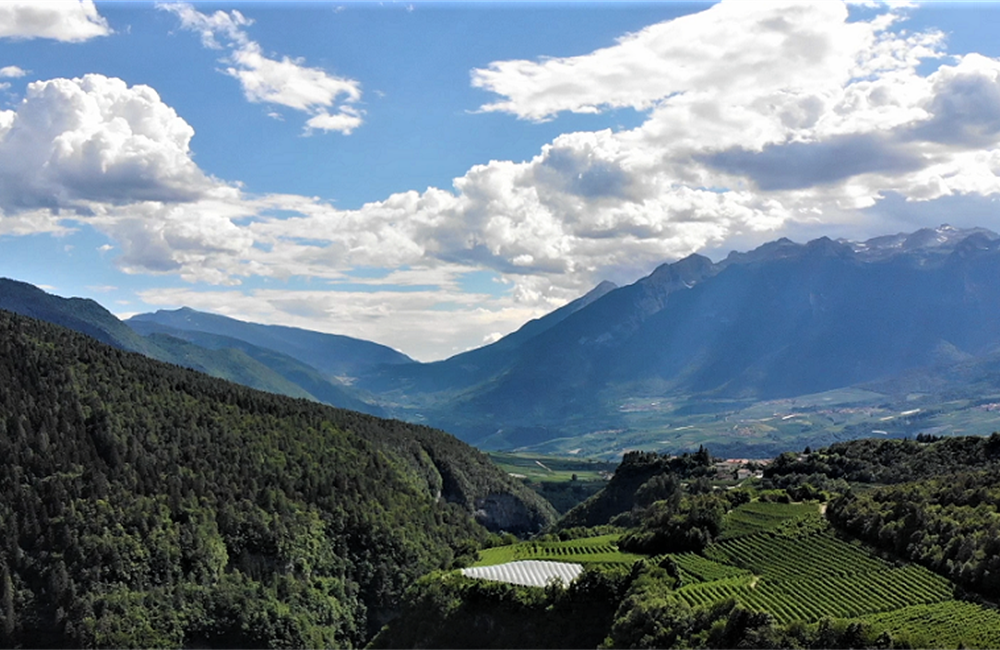 MASO IN  TRENTINO - Vendita Maso VERVÒ Valle di Non