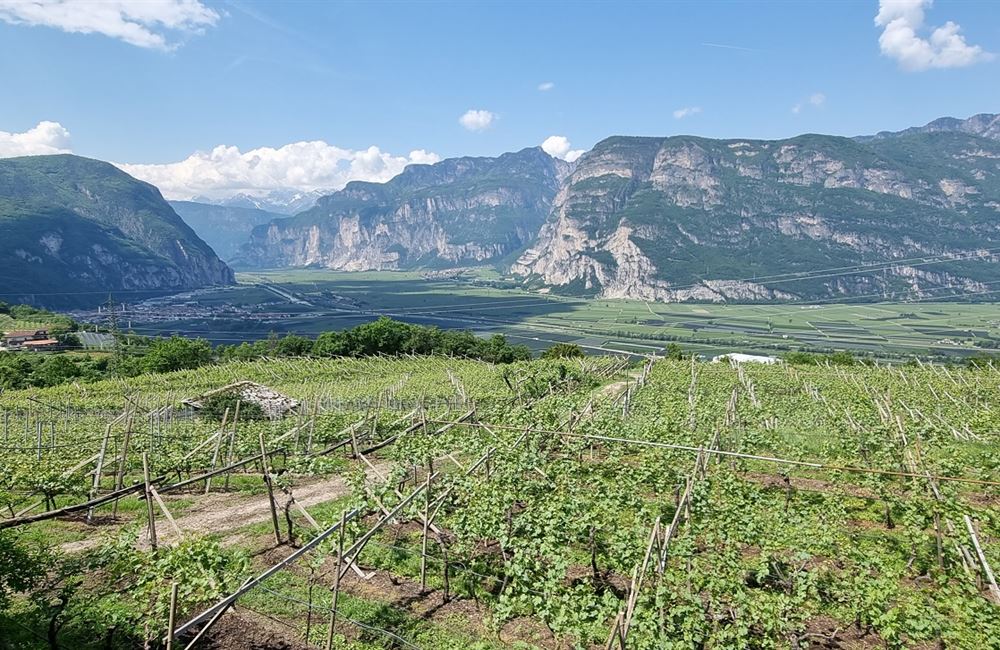 TRE STANZE CON PANORAMICA TERRAZZA VISTA VALLE - Vendita Appartamento 3 stanze  Atesina