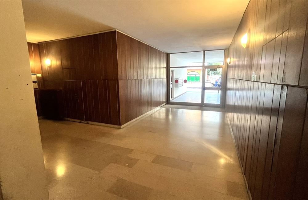 VIA VERDI VENDESI NUDA PROPRIETA' DI AMPIO APPARTAMENTO ZONA UNIVERSITARIA - Vendita Appartamento 3 stanze  Trento