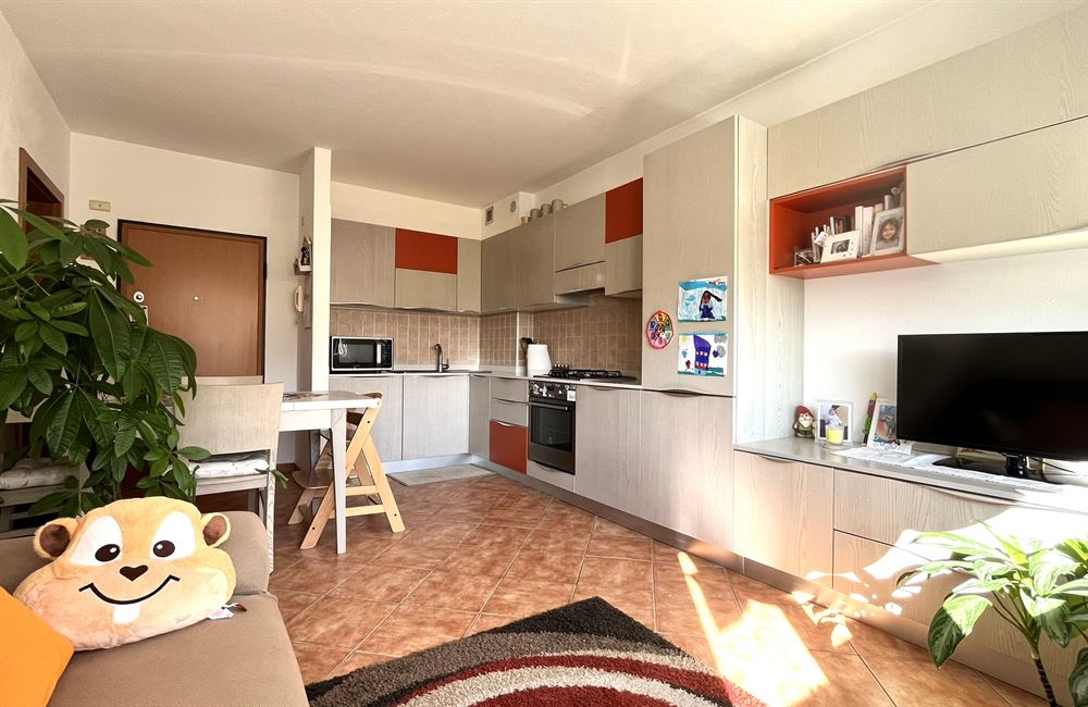 LAVIS DUE STANZE ZONA LUNGO AVISIO - Vendita Appartamento 2 stanze  Lavis
