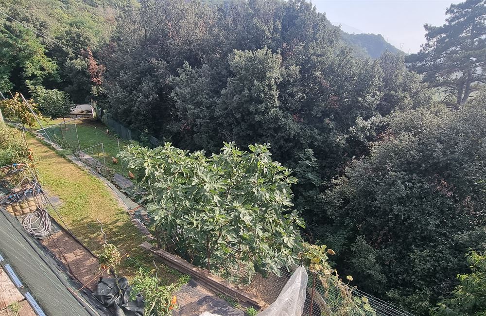 VILLA BIFAMILIARE IN POSIZIONE PANORAMICA E SOLEGGIATA - Vendita Villa  Trento