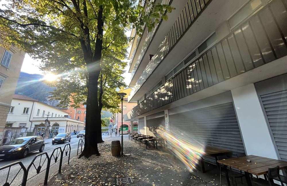 VIA VERDI VENDESI NUDA PROPRIETA' DI AMPIO APPARTAMENTO ZONA UNIVERSITARIA